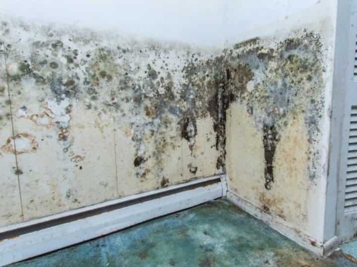 Water Damage Chicago 3 water damage ann arbor; don't ignore water damage problems